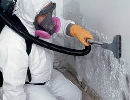 Mold Documentation for Insurance Claims in Grandyle Village, NY